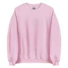 Load image into Gallery viewer, Pink unisex sweater featuring ‘Patience’ embroidered in elegant Arabic calligraphy. Soft, comfortable, and stylish design perfect for everyday wear.