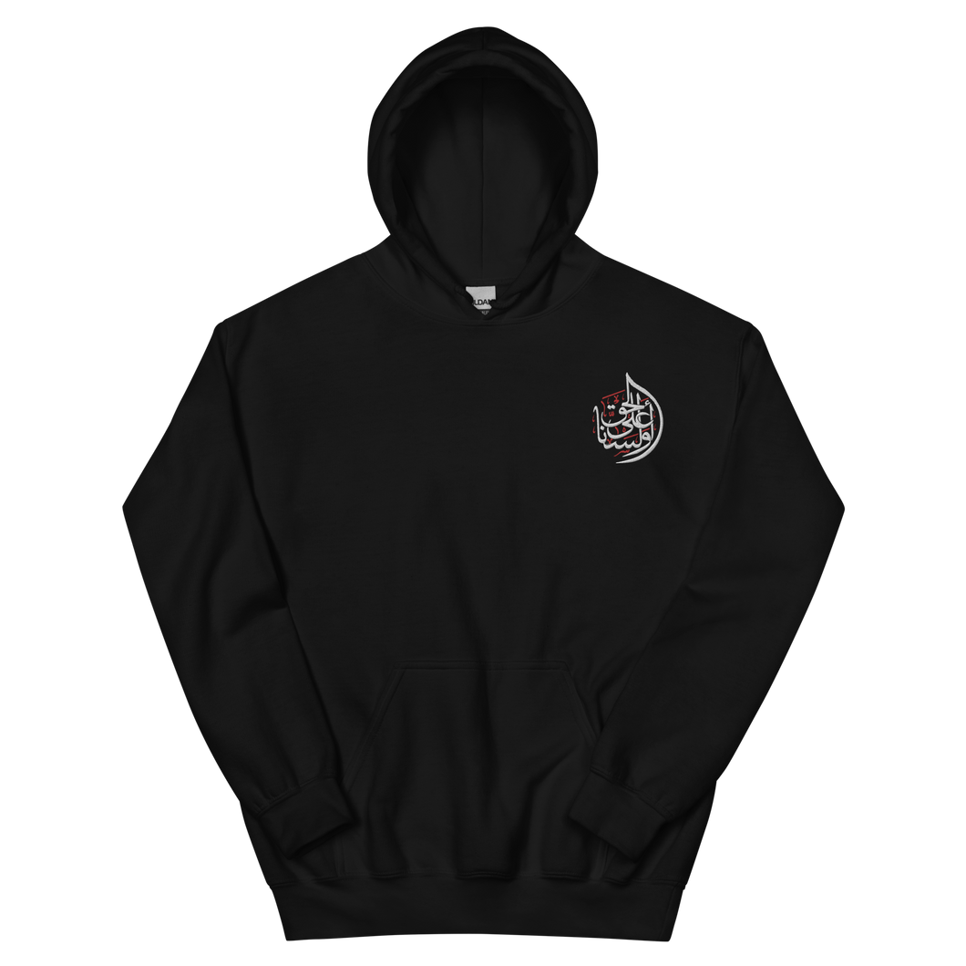 Aren't We on the Side of Truth Hoodie